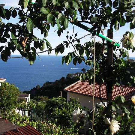 Le Mimose Villa Vietri Exteriör bild