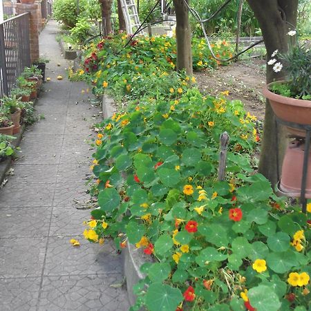 Le Mimose Villa Vietri Exteriör bild