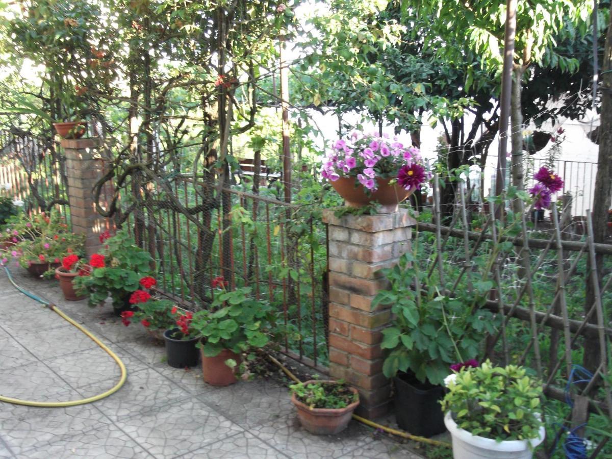 Le Mimose Villa Vietri Exteriör bild