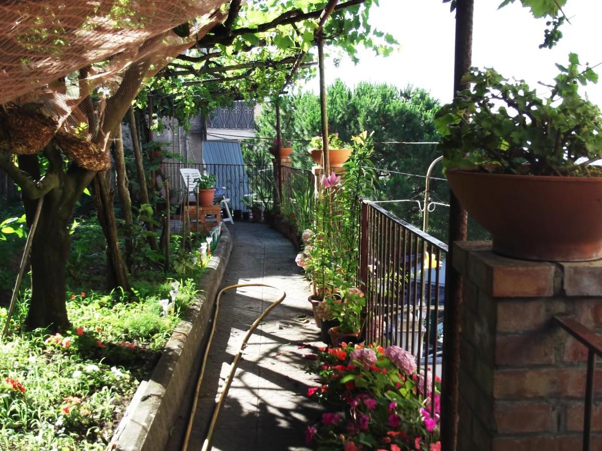 Le Mimose Villa Vietri Exteriör bild