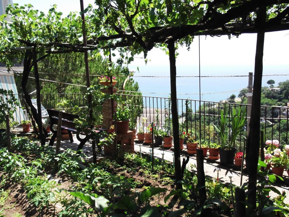 Le Mimose Villa Vietri Exteriör bild