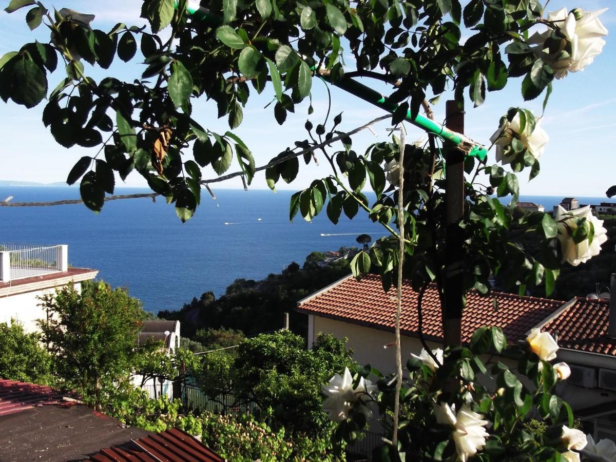Le Mimose Villa Vietri Exteriör bild