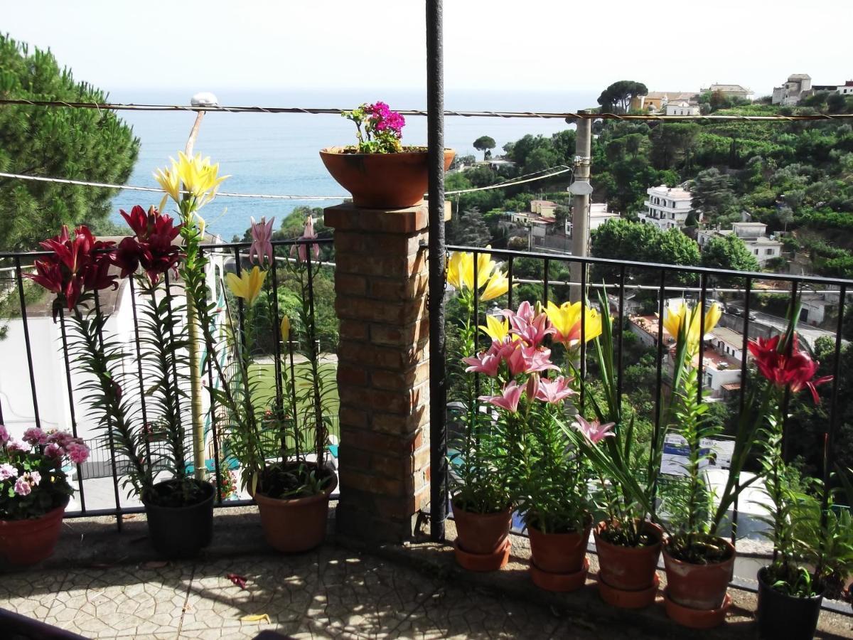 Le Mimose Villa Vietri Exteriör bild