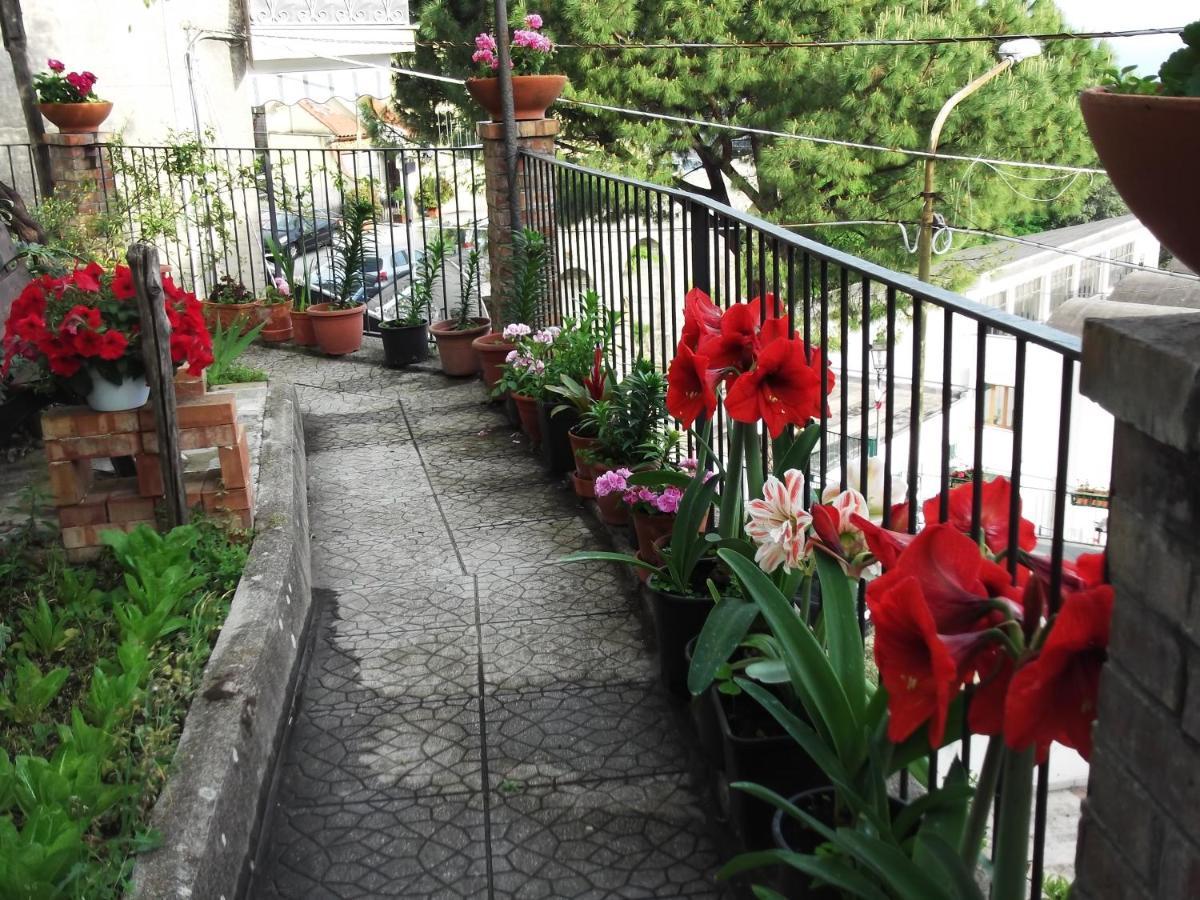 Le Mimose Villa Vietri Exteriör bild
