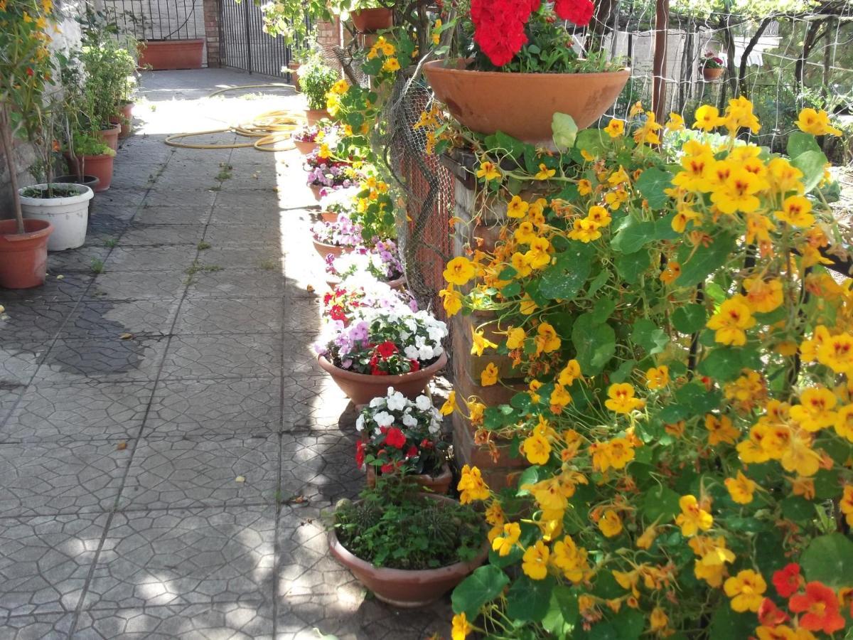 Le Mimose Villa Vietri Exteriör bild