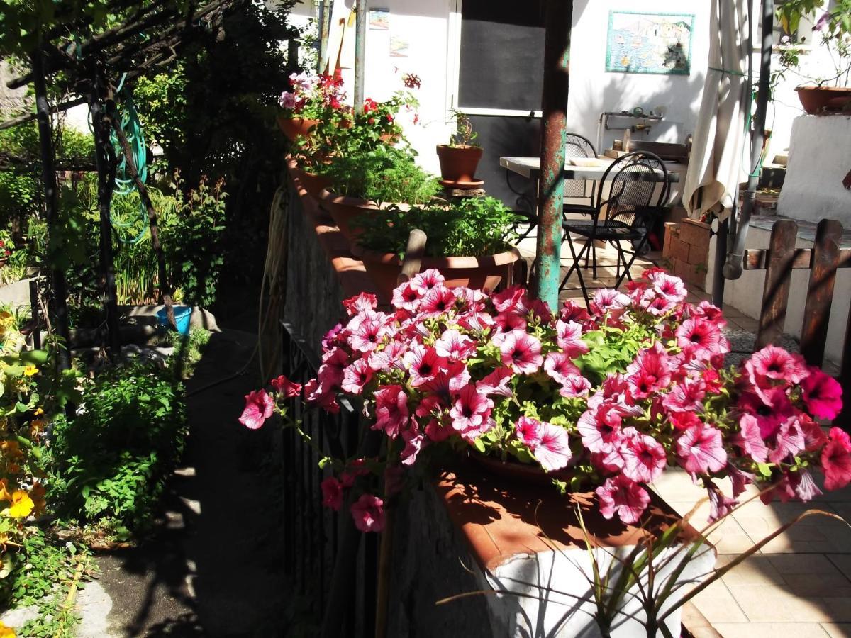 Le Mimose Villa Vietri Exteriör bild