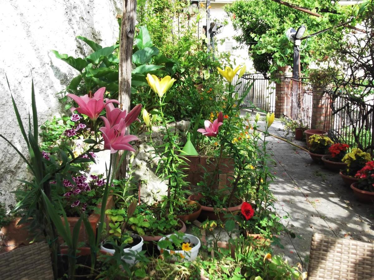Le Mimose Villa Vietri Exteriör bild
