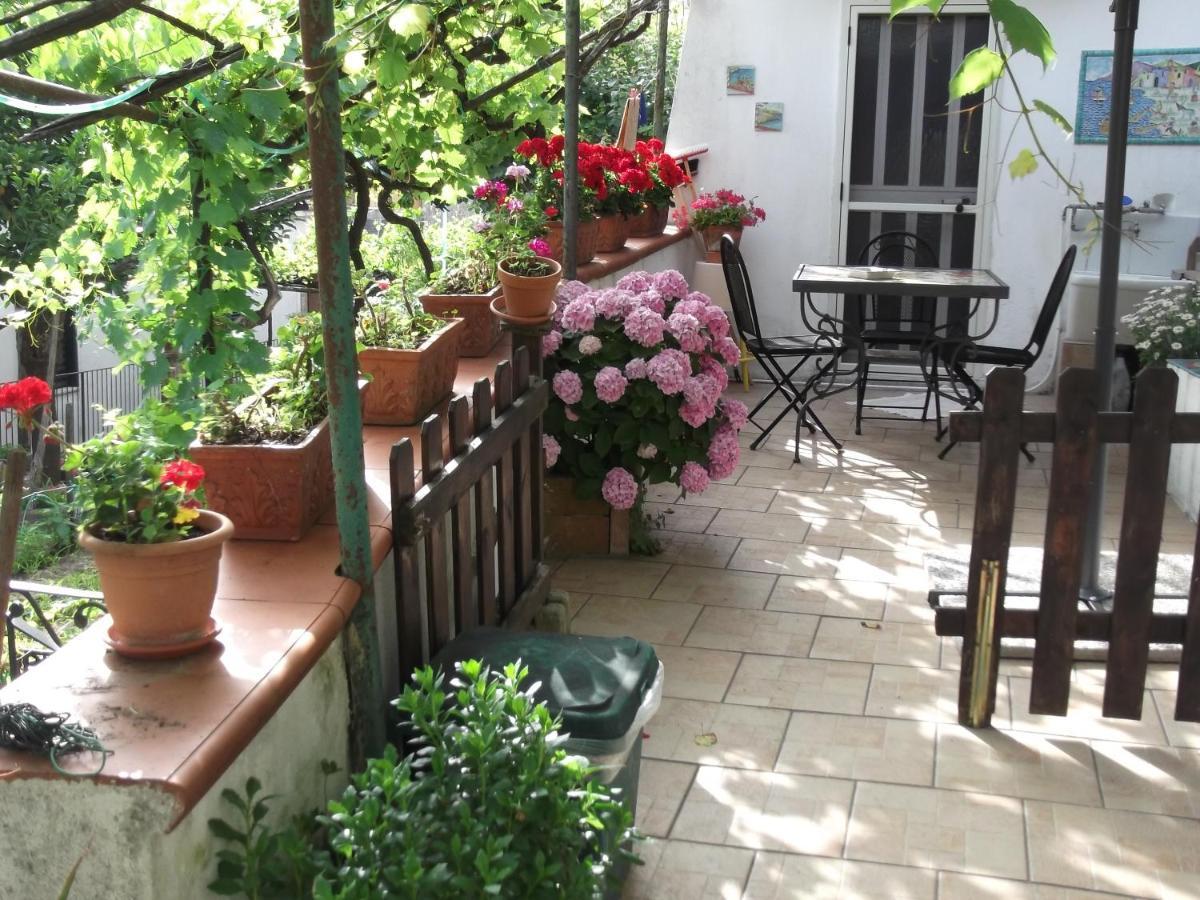 Le Mimose Villa Vietri Exteriör bild