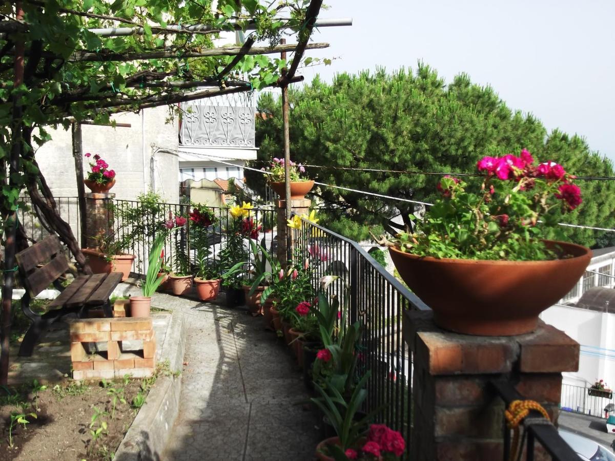Le Mimose Villa Vietri Exteriör bild