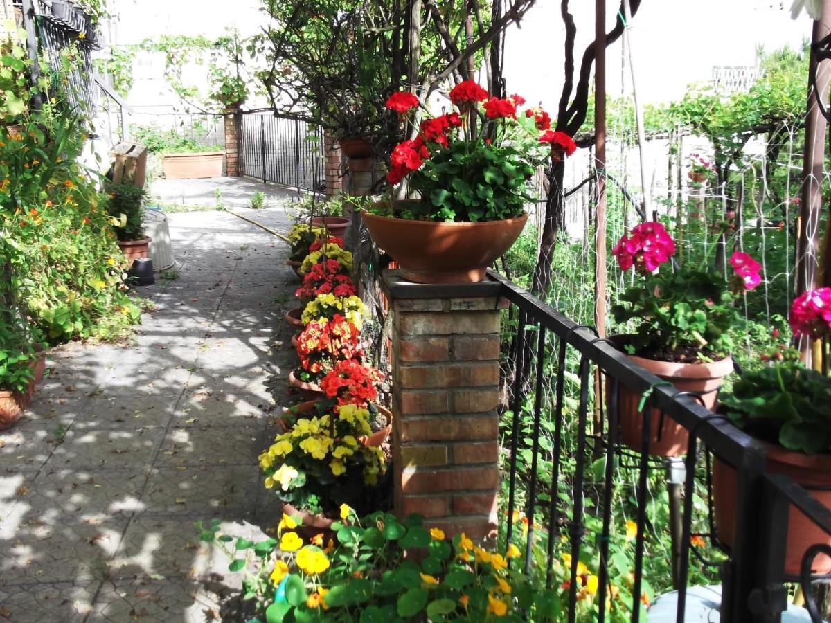 Le Mimose Villa Vietri Exteriör bild