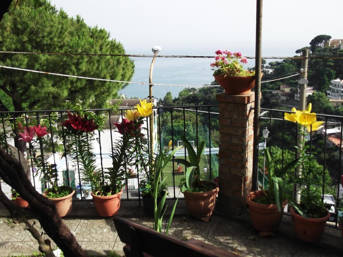 Le Mimose Villa Vietri Exteriör bild