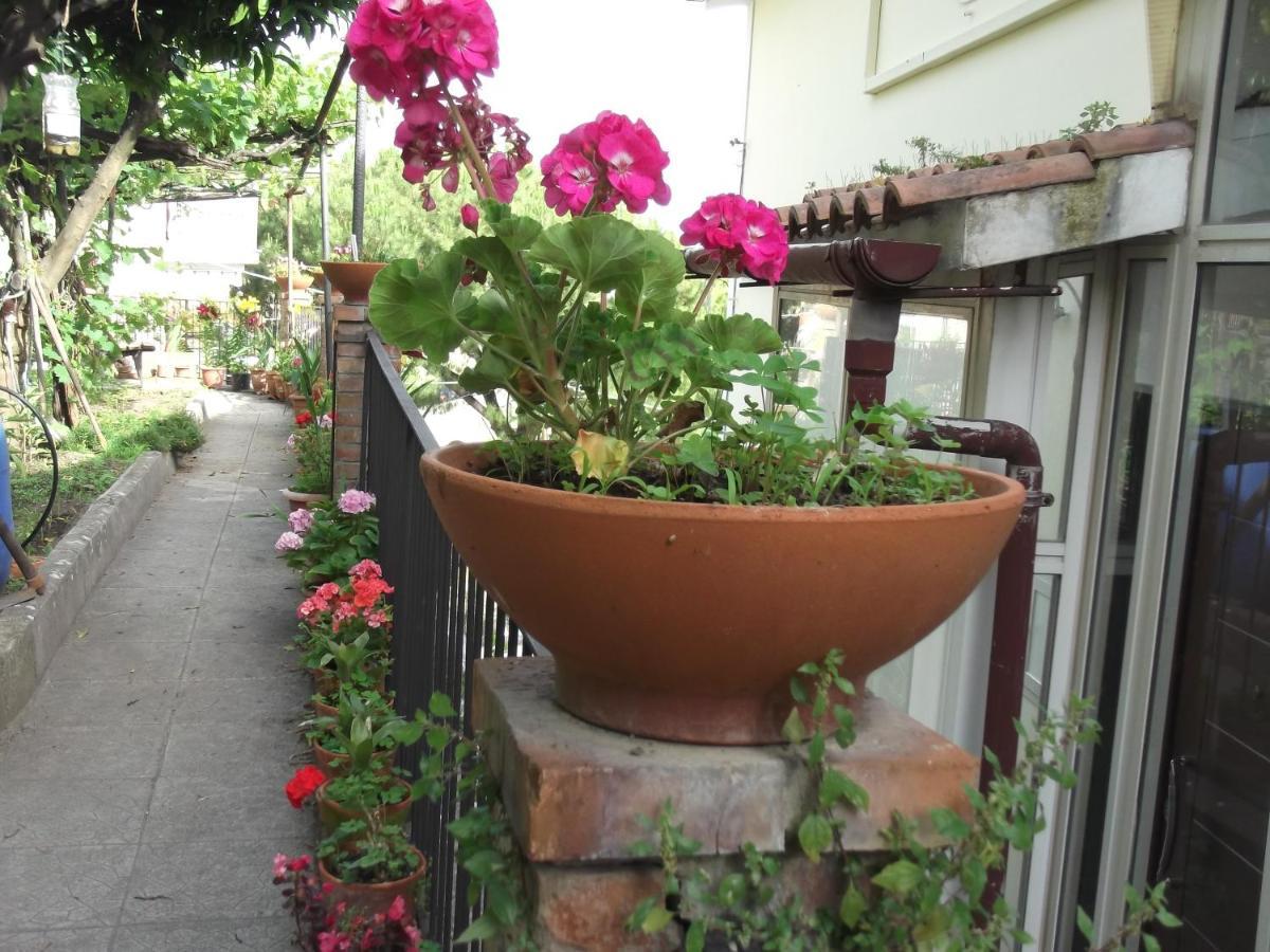 Le Mimose Villa Vietri Exteriör bild