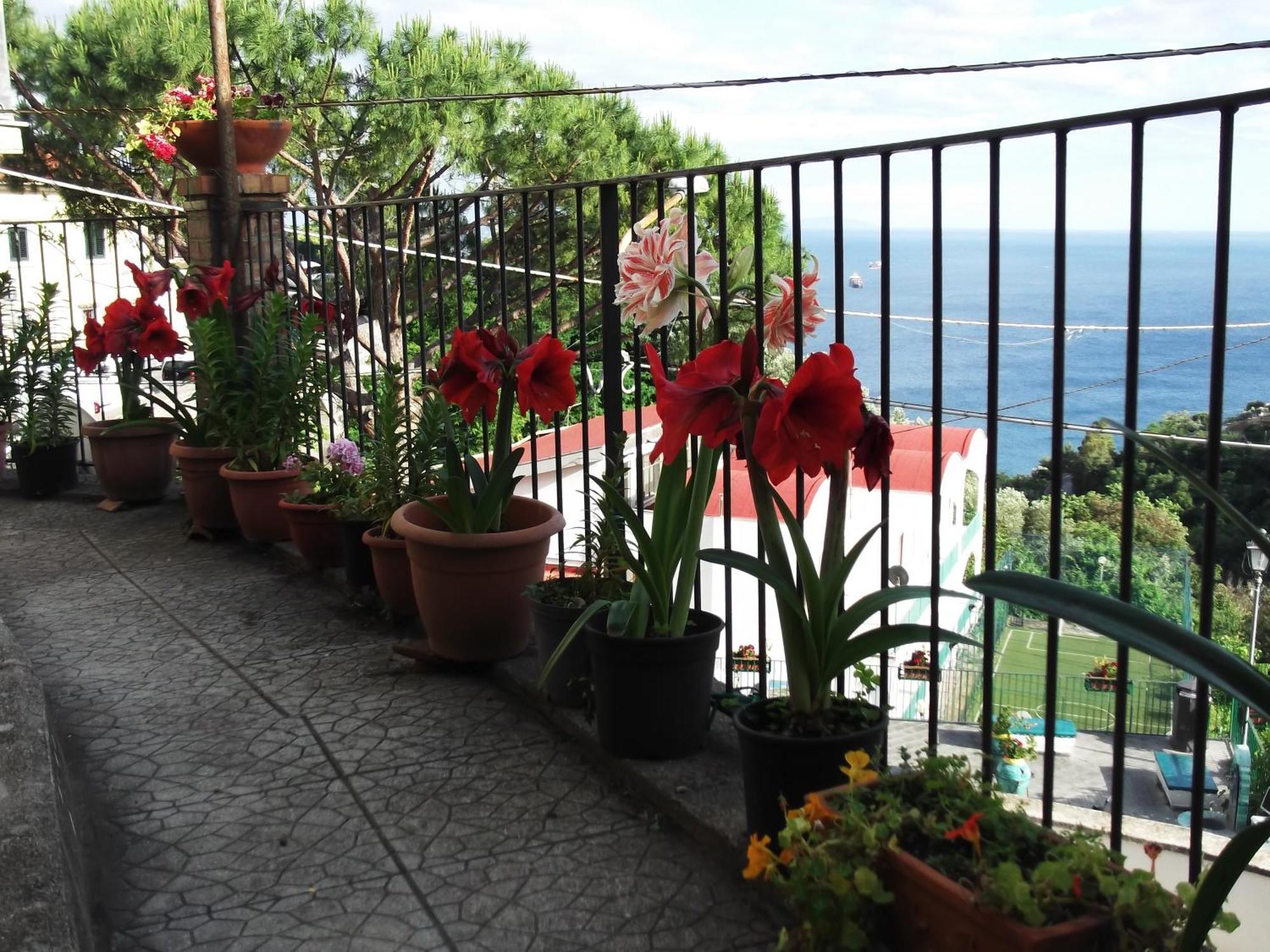 Le Mimose Villa Vietri Exteriör bild