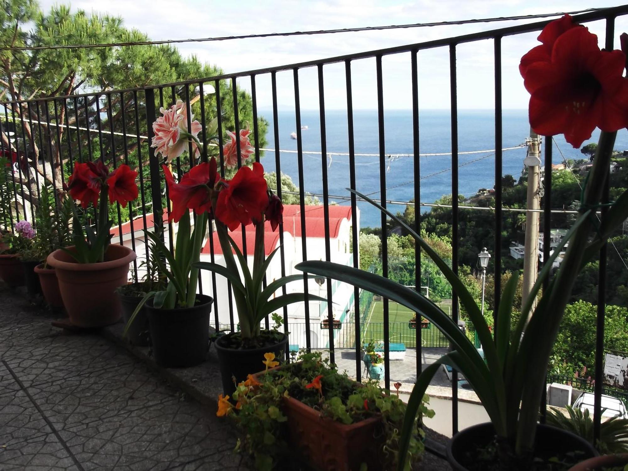 Le Mimose Villa Vietri Exteriör bild