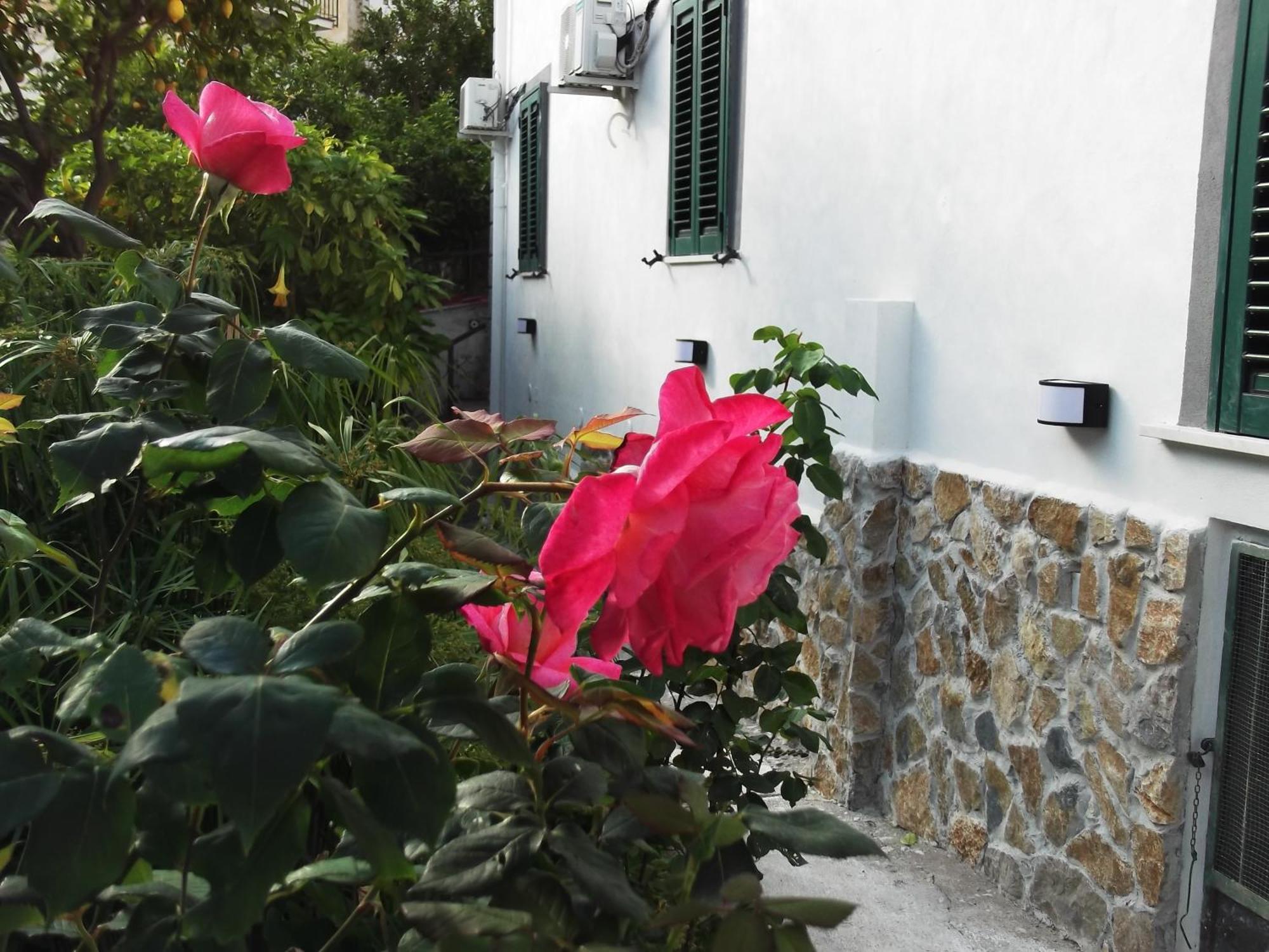 Le Mimose Villa Vietri Exteriör bild