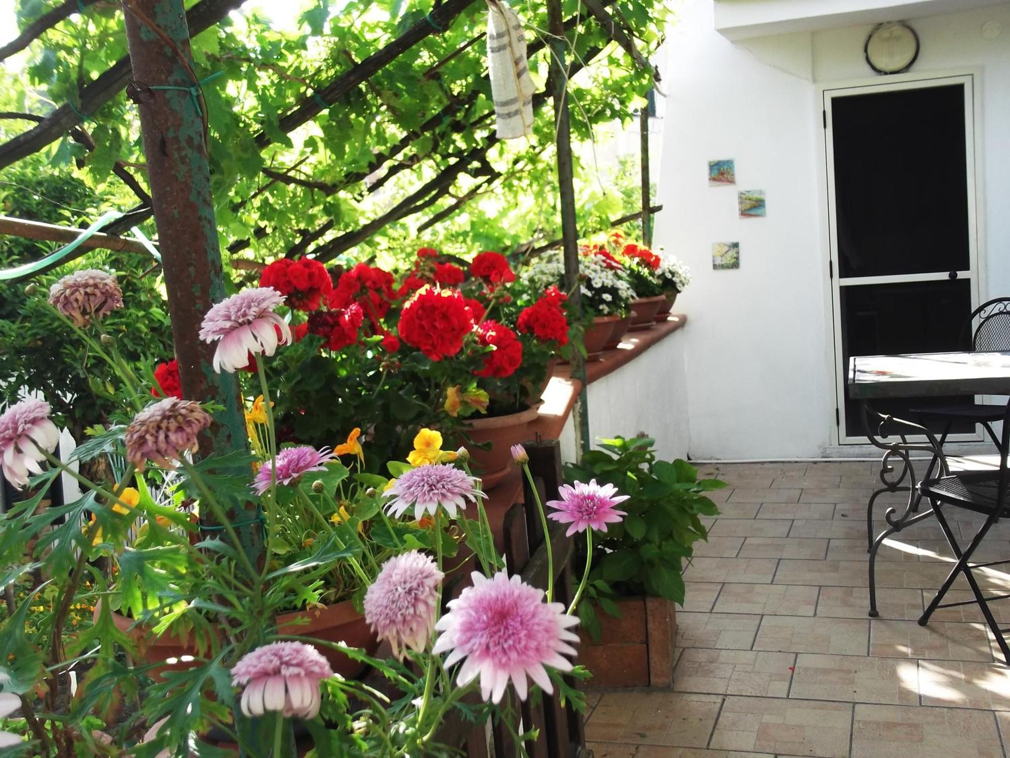 Le Mimose Villa Vietri Exteriör bild