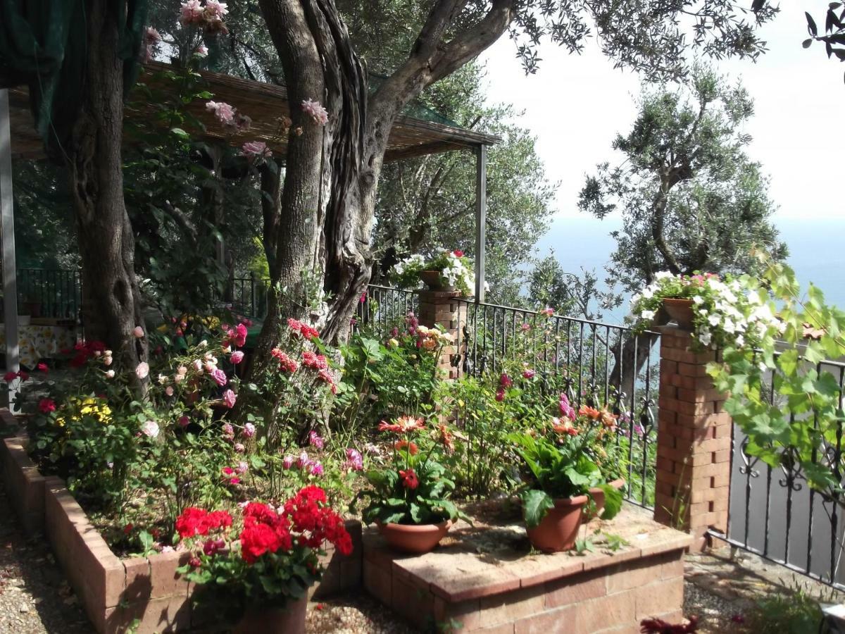 Le Mimose Villa Vietri Exteriör bild