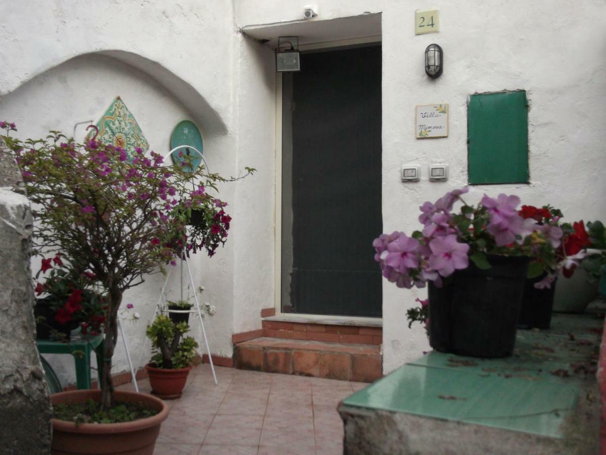 Le Mimose Villa Vietri Exteriör bild