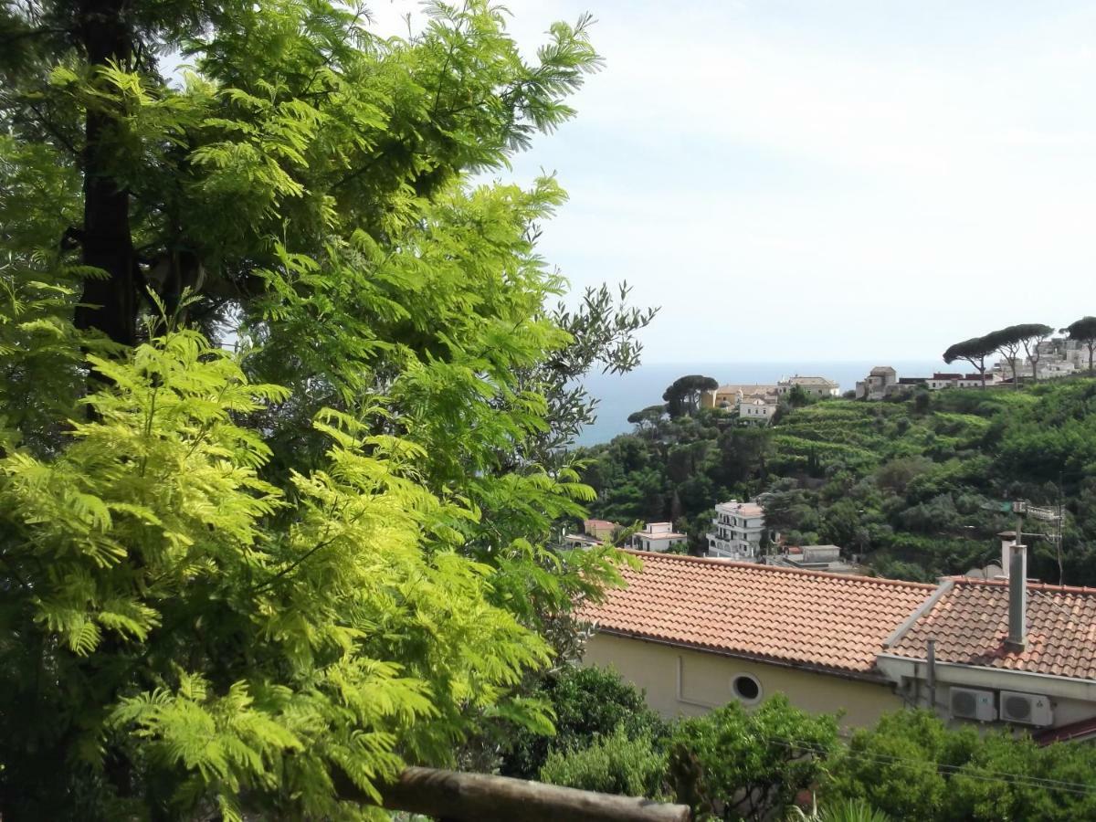 Le Mimose Villa Vietri Exteriör bild