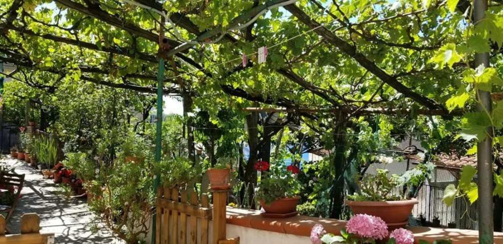 Le Mimose Villa Vietri Exteriör bild